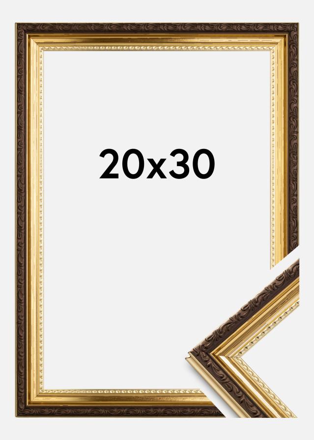 Rama Abisko Szkło akrylowe Złoty 20x30 cm