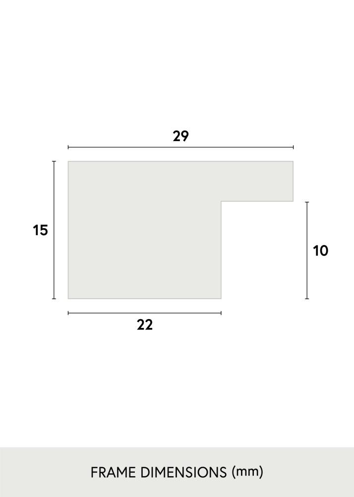 Superb AA Multirama II - 4 Zdjęcia