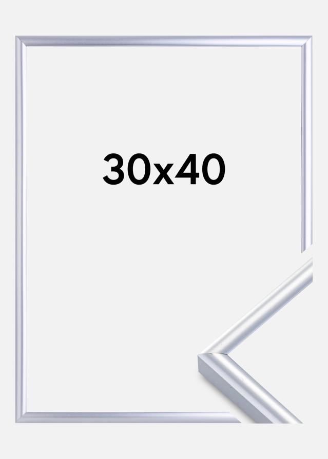Rama Victoria Szkło akrylowe Srebrny 30x40 cm