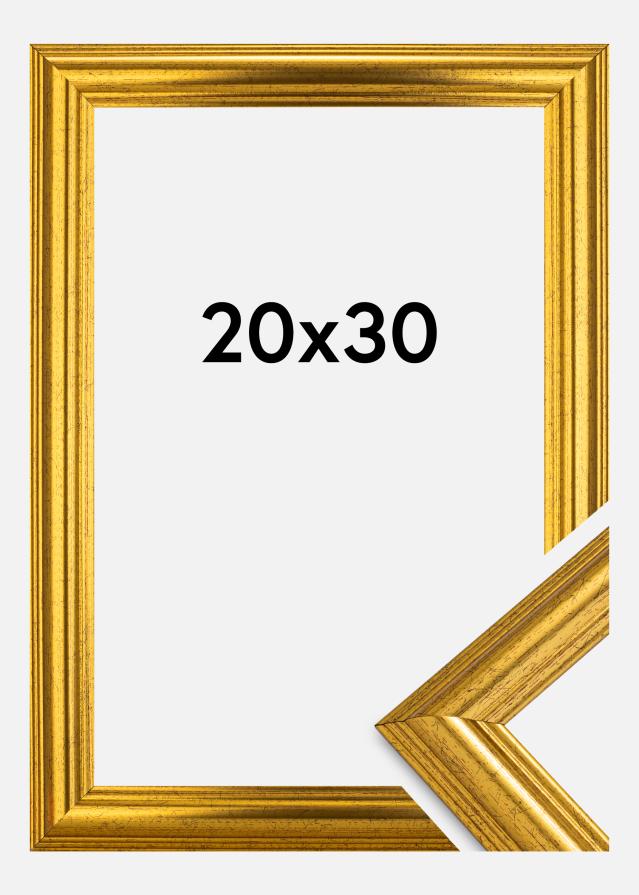 Rama Västkusten Szkło akrylowe Złoty 20x30 cm