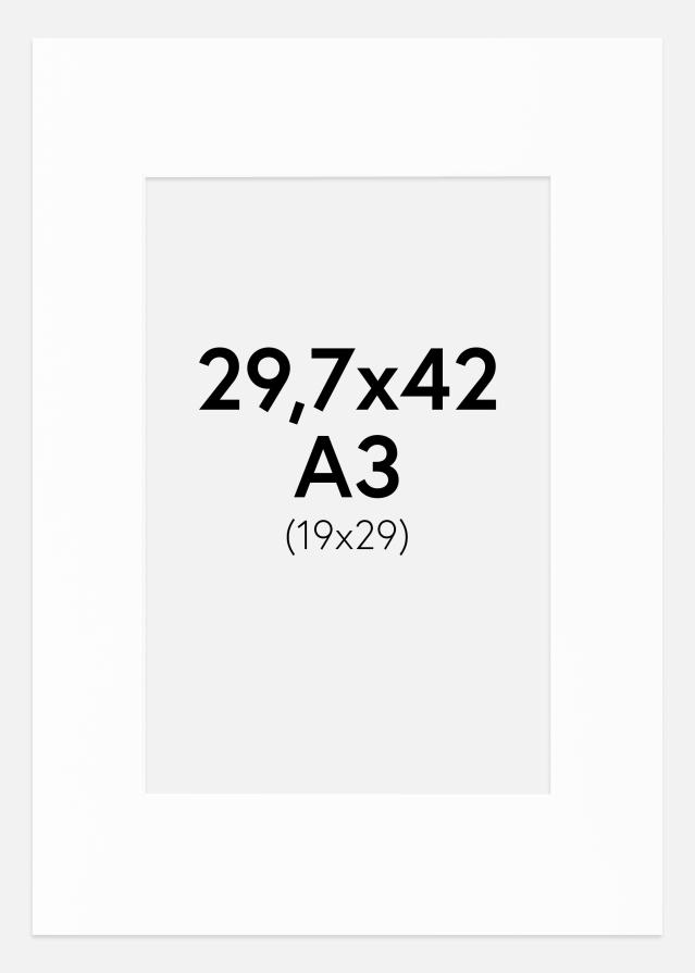 Passe-patrout Canson Biały Biały środek 29,7x42 cm (19x29)