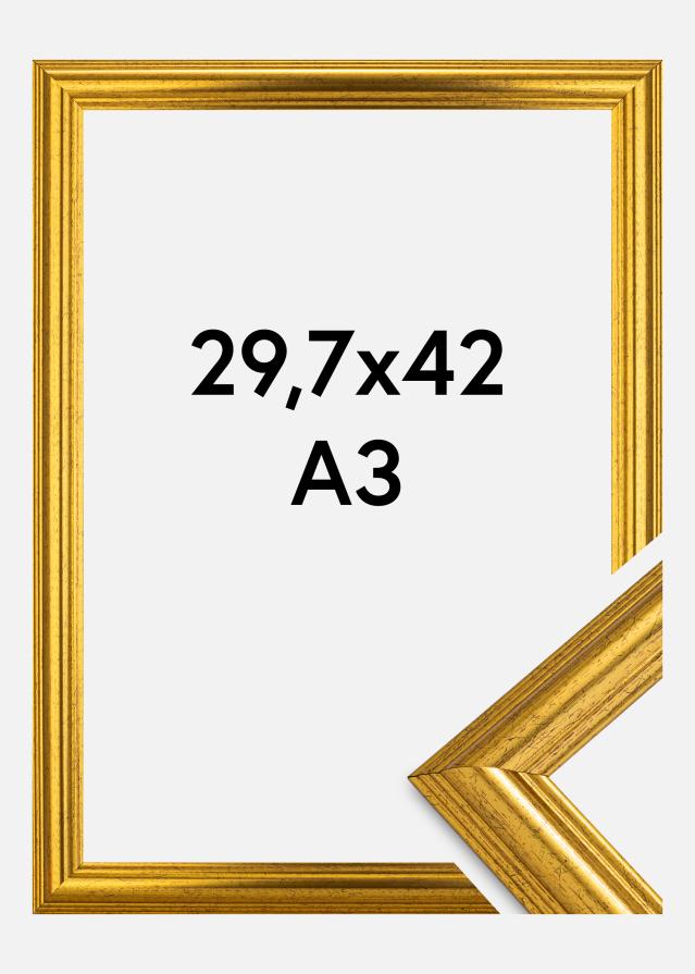 Rama Västkusten Szkło akrylowe Złoty 29,7x42 cm (A3)