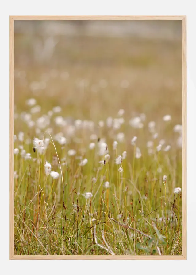 Summer Fileds Plakat