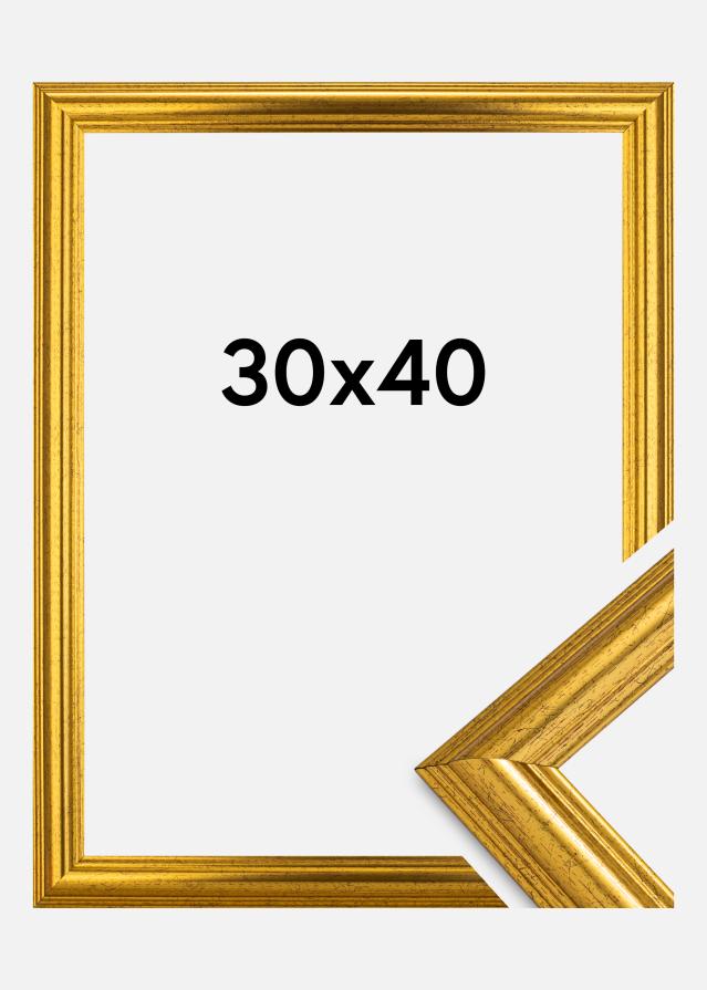 Rama Västkusten Złoty 30x40 cm