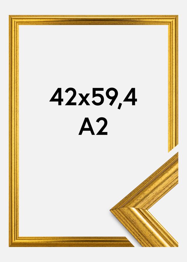 Rama Västkusten Złoty 42x59,4 cm (A2)