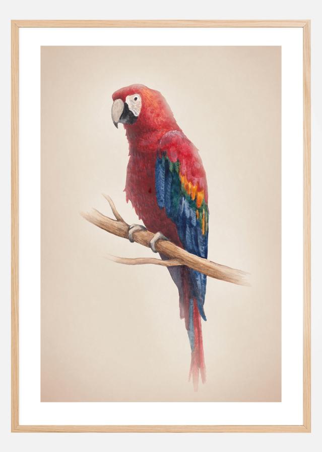 Tropical Parrot Plakat