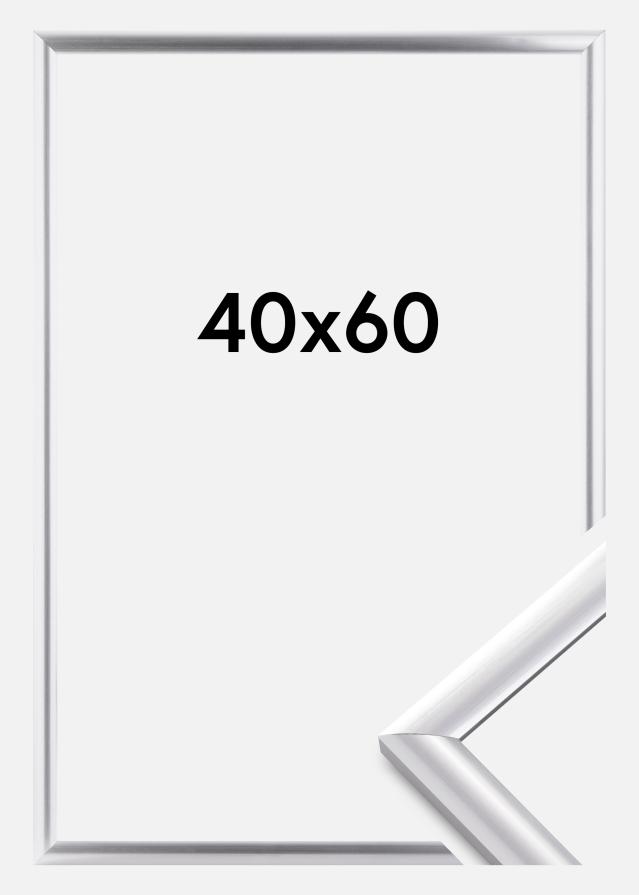 Rama Trendstyle Srebrny 40x60 cm