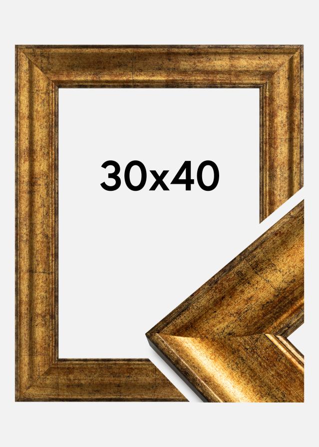 Rama Saltsjöbaden Szkło akrylowe Złoty 30x40 cm