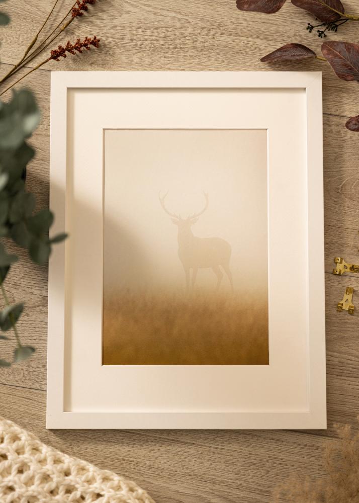 Rama Deco Szkło akrylowe Biały 60x80 cm