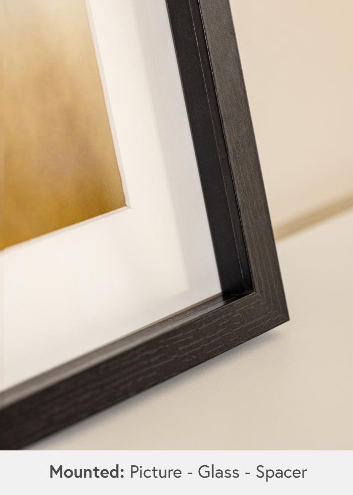 BGA Rama pudełkowa Szkło akrylowe Czarny 50x100 cm