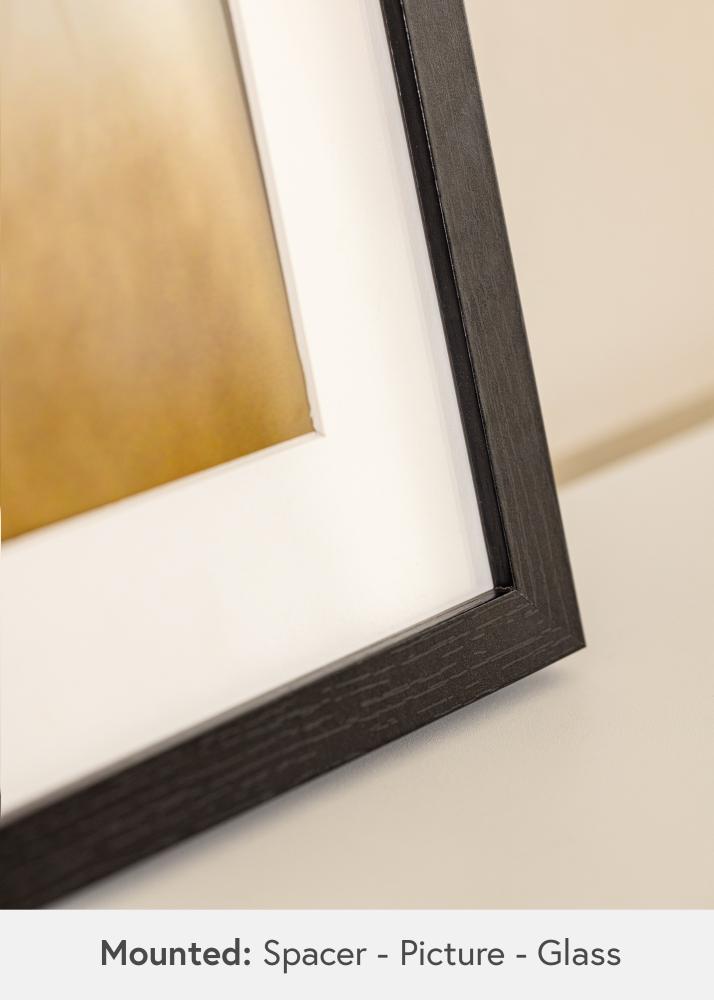 BGA Rama pudełkowa Szkło akrylowe Czarny 50x100 cm