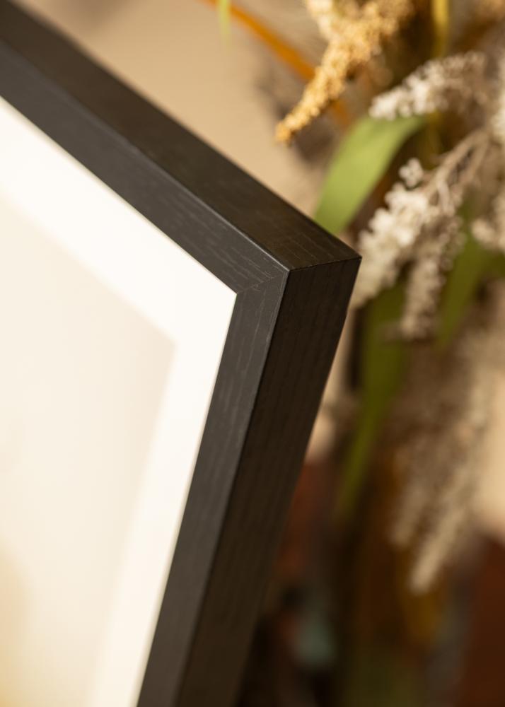 BGA Rama pudełkowa Szkło akrylowe Czarny 50x100 cm