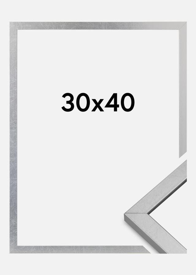Rama Minerva Szkło akrylowe Srebrny 30x40 cm
