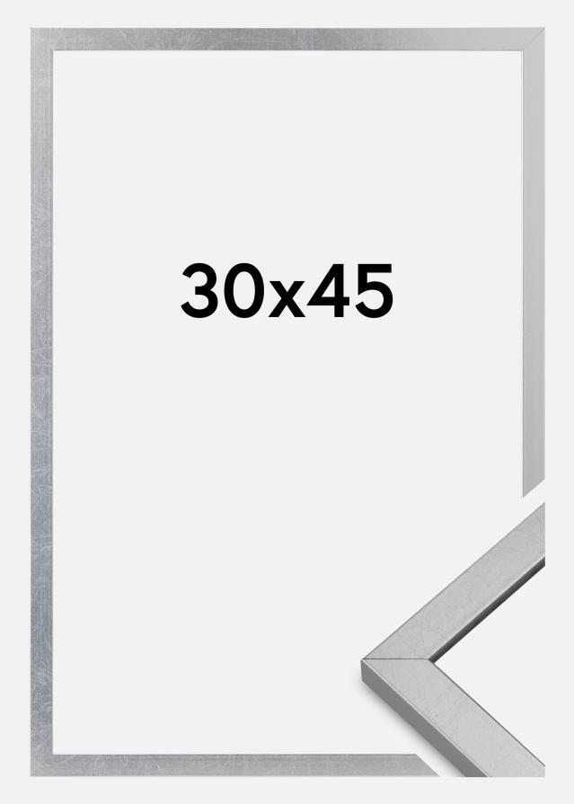 Rama Minerva Szkło akrylowe Srebrny 30x45 cm