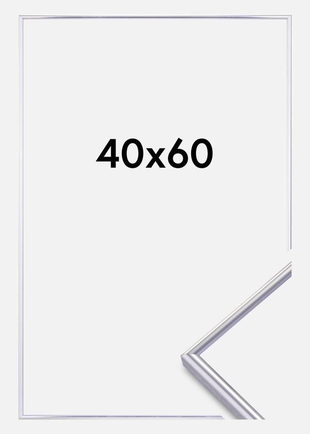 Rama Can-Can Srebrny 40x60 cm