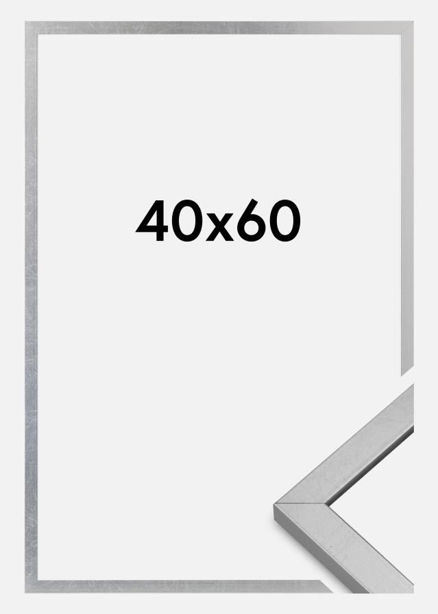 Rama Minerva Szkło akrylowe Srebrny 40x60 cm
