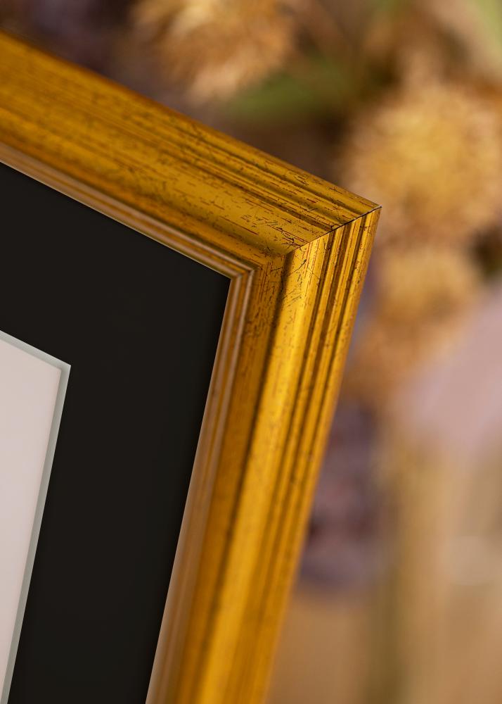 Rama Västkusten Złoty 32x45 cm - Passe-patrout Czarny 10x12 inches