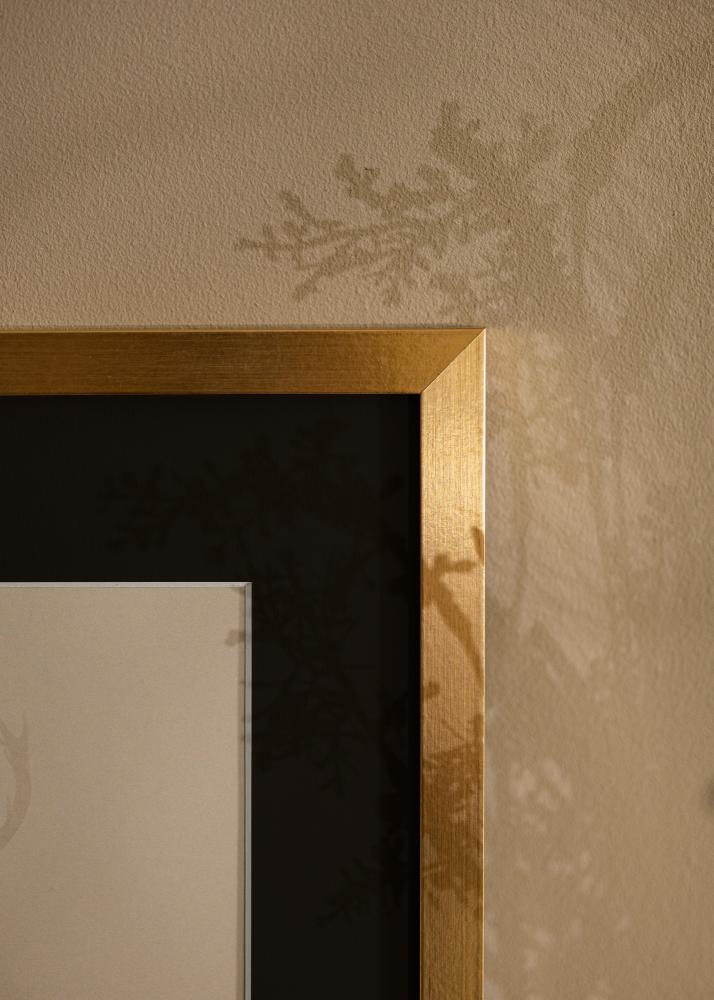 Rama Selection Złoty 13x18 cm - Passe-patrout Czarny 9x12 cm