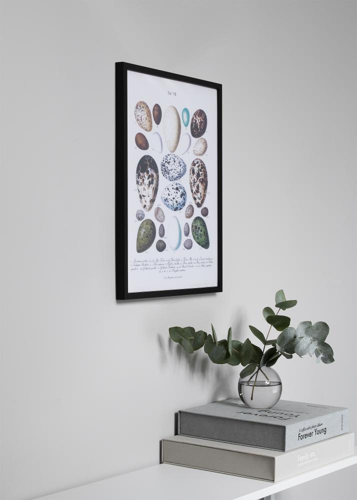 Rama Oslo Czarny 30x40 cm - Passe-patrout Czarny 18x27 cm