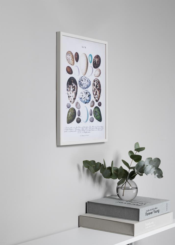 Rama Oslo Biały 30x40 cm - Passe-patrout Czarny 18x27 cm