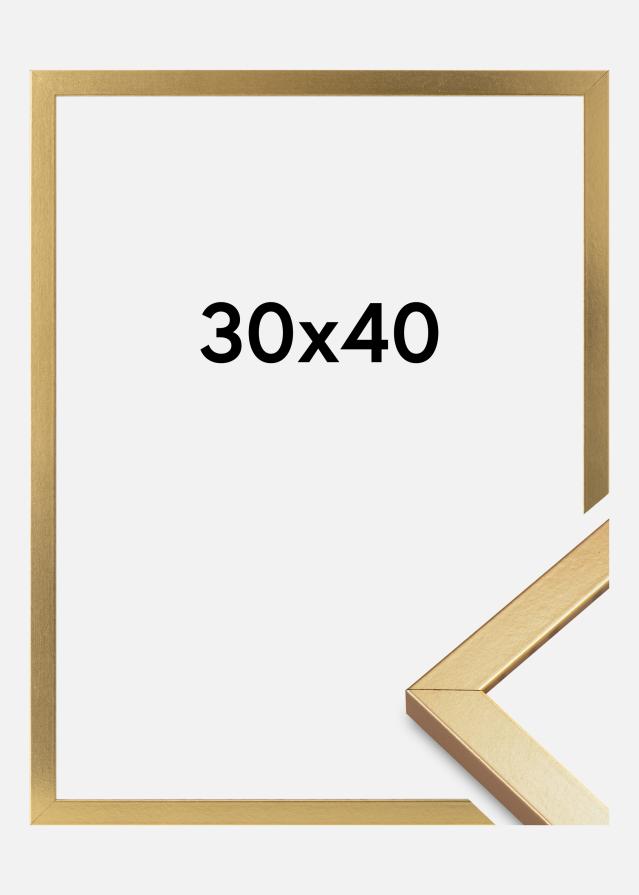 Rama Minerva Szkło akrylowe Złoty 30x40 cm