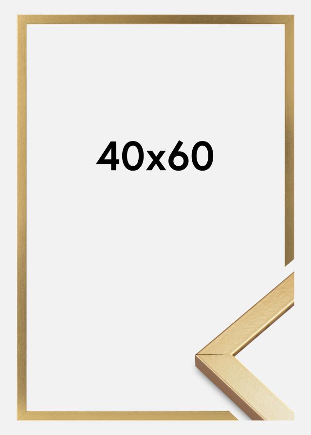 Rama Minerva Szkło akrylowe Złoty 40x60 cm