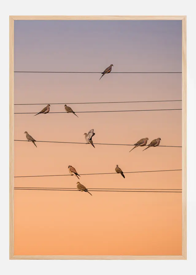 Music Of Light Plakat