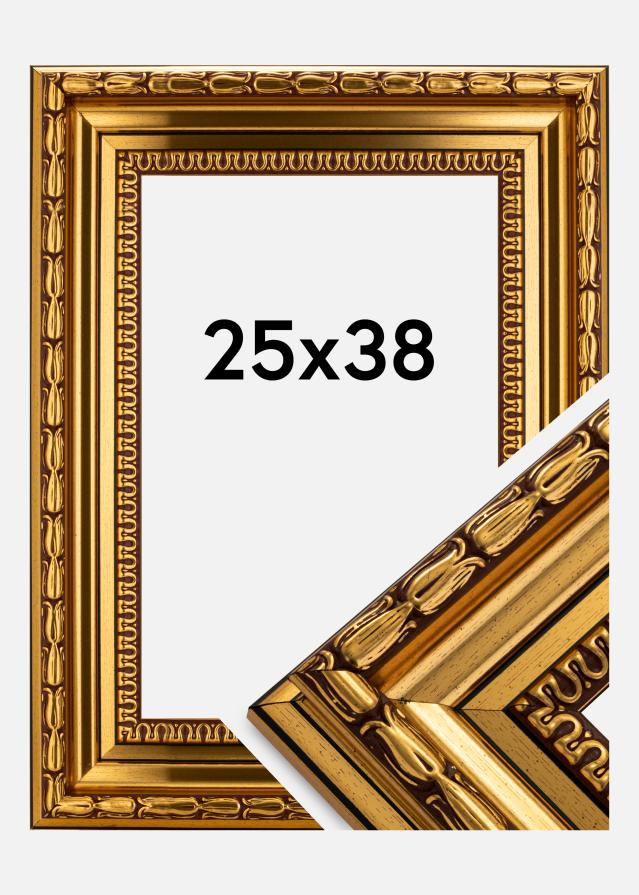 Rama Birka Premium Złoty 25x38 cm