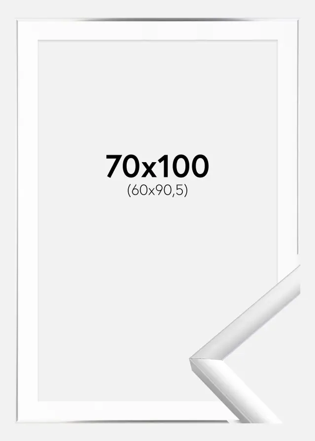 Rama New Lifestyle Srebrny 70x100 cm - Passe-patrout Biały 61x91,5 cm