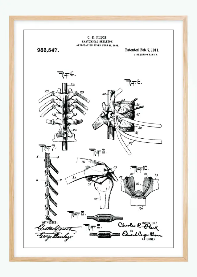 Rysunek patentowy - Anatomiczny szkielet III Plakat