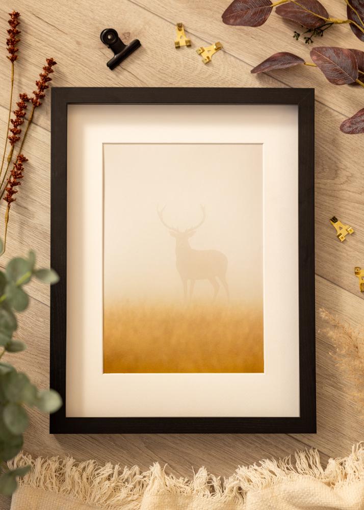 BGA Rama pudełkowa Szkło akrylowe Czarny 42x59,4 cm (A2)