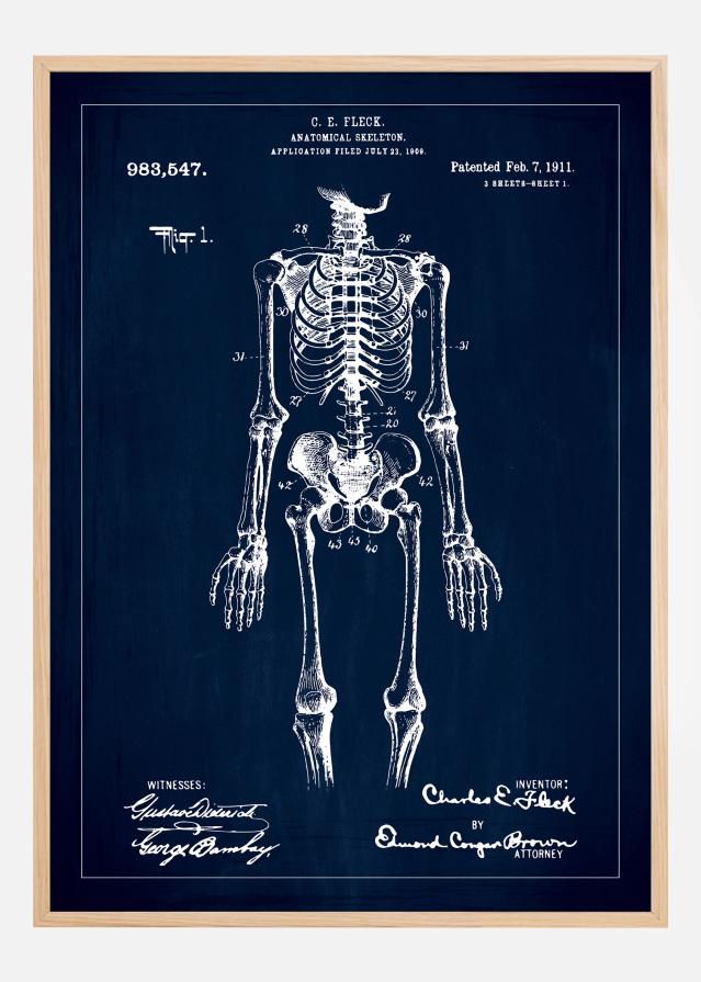Rysunek patentowy - Anatomiczny szkielet w - Niebieski Plakat