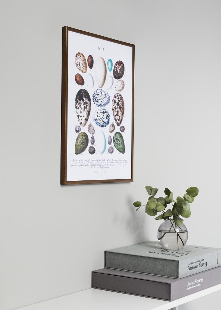 Rama New Lifestyle Niebieski 42x59,4 cm (A2) - Passe-patrout Biały 25x38 cm