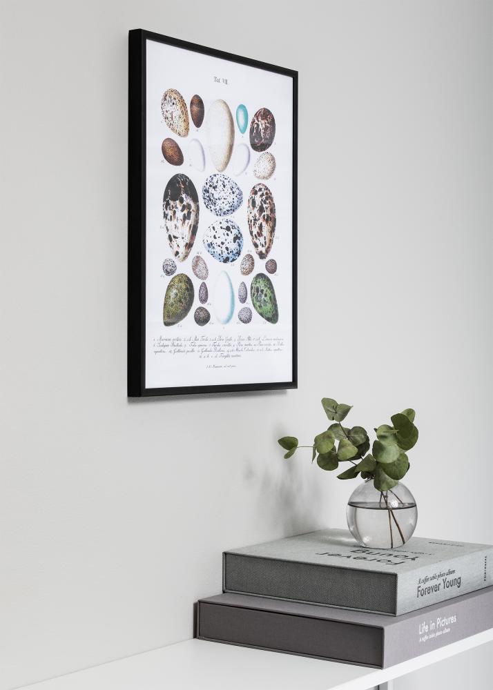 Rama Nielsen Premium Classic Czarny Mat 60x90 cm