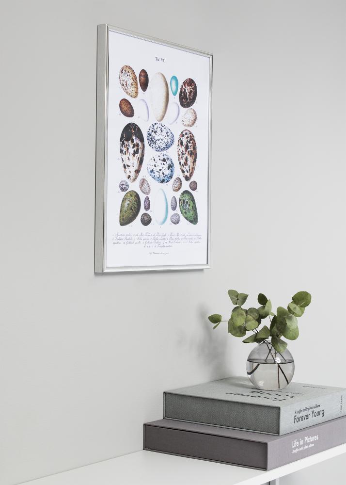 Rama Nielsen Premium Classic Srebrny 60x80 cm