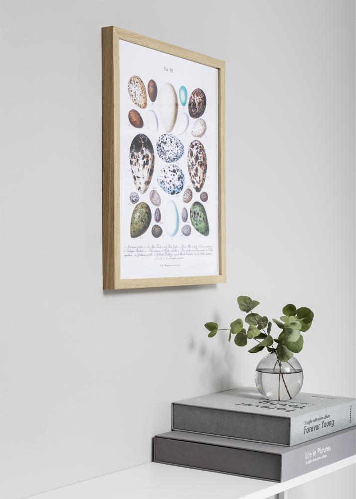 Rama Nielsen Premium Quadrum Dąb 29,7x42 cm (A3)