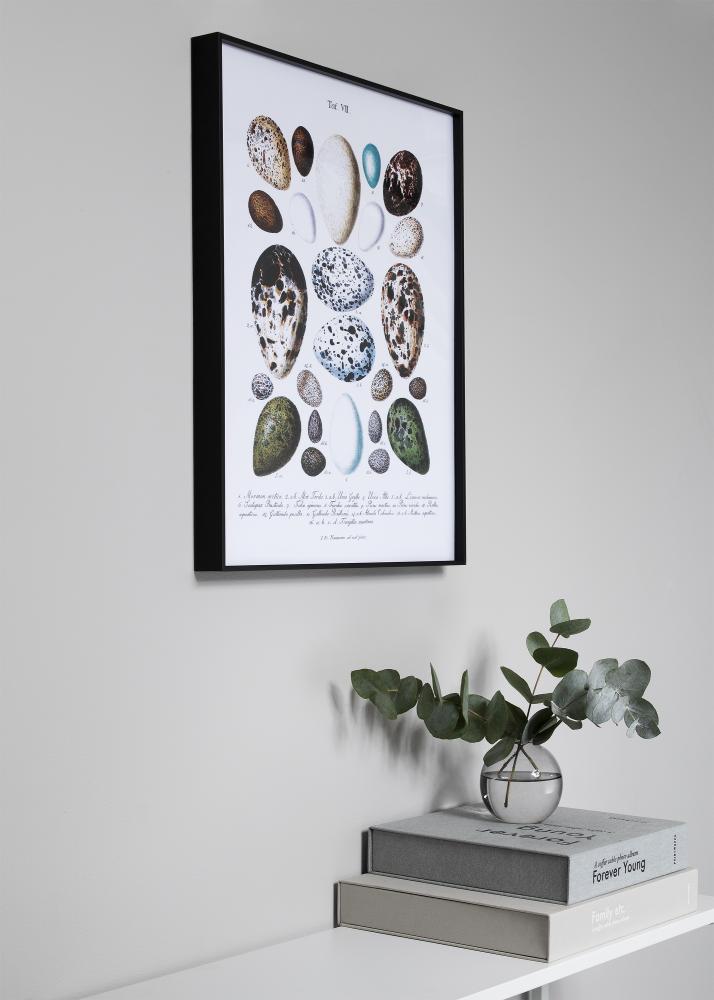 Rama Nielsen Premium Zenit Matowy Czarny - Dowolny rozmiar