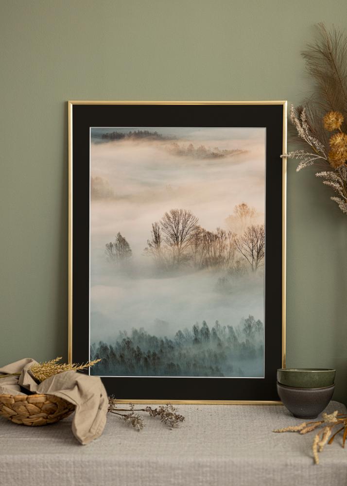 Rama New Lifestyle Złoty 70x100 cm - Passe-patrout Czarny 61x91,5 cm