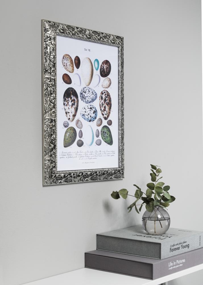 Rama Ralph Srebrny 50x70 cm