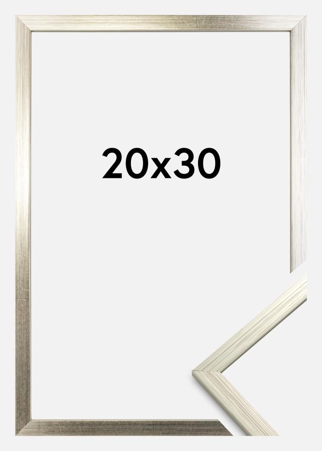 Rama Edsbyn Szkło akrylowe Srebrny 20x30 cm