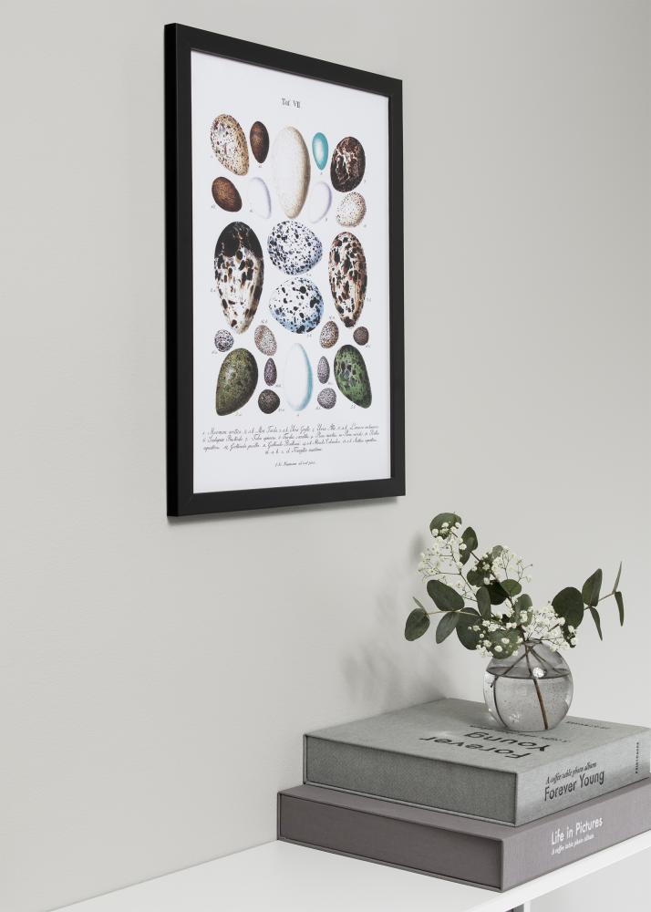 Stylowy Czarny - Dowolny rozmiar