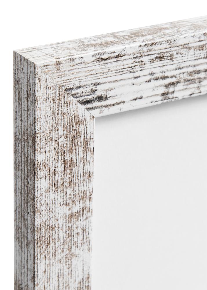 Superb AA Multirama II - 4 Zdjęcia