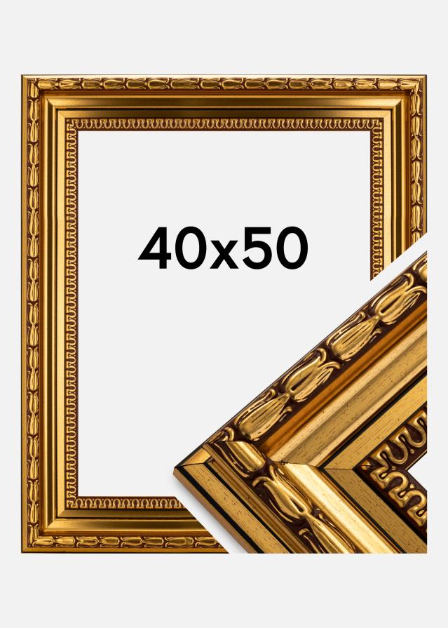 Rama Birka Premium Złoty 40x50 cm