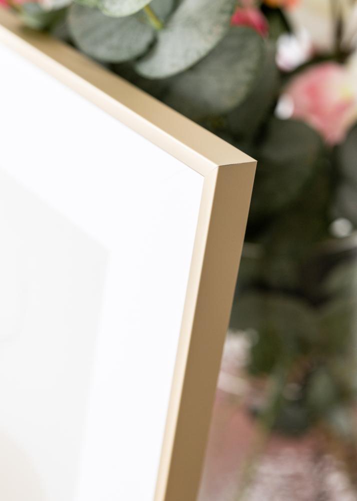 Rama aluminiowa Szkło akrylowe Mosiądz 30x40 cm