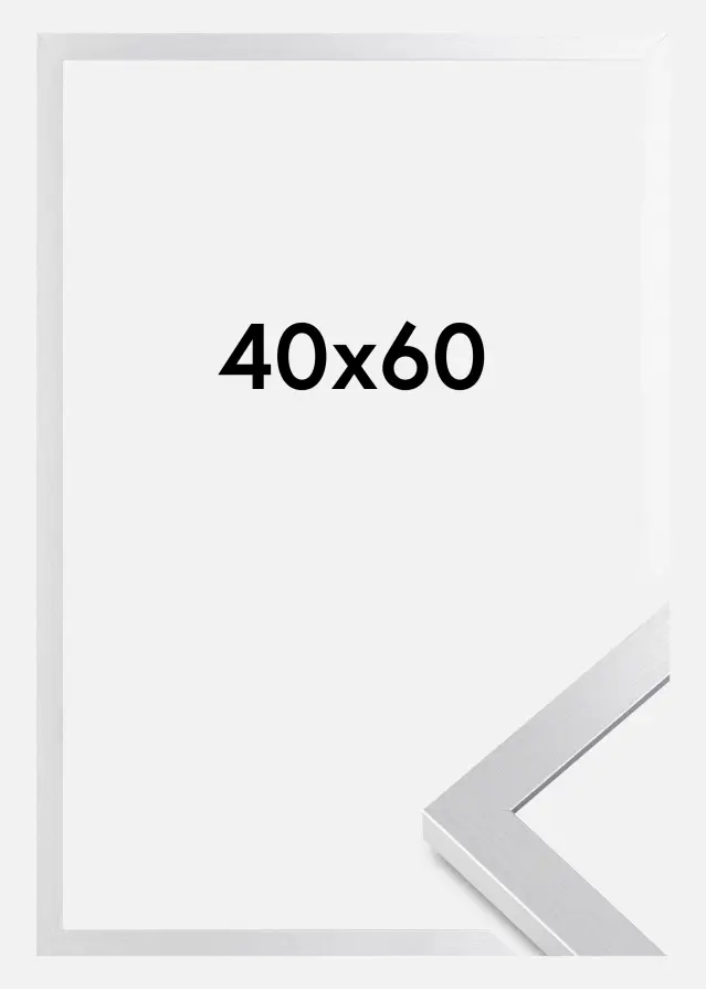 Rama Selection Szkło akrylowe Srebrny 40x60 cm