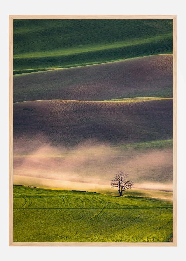 Sunset in Palouse Plakat