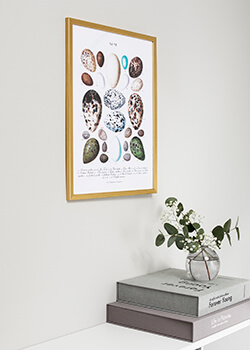 Stylowe ramki w złocie