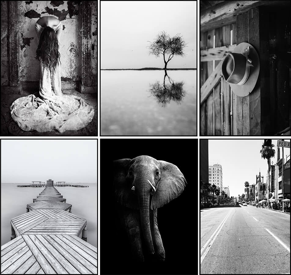 Plakaty z czarno-białymi zdjęciami